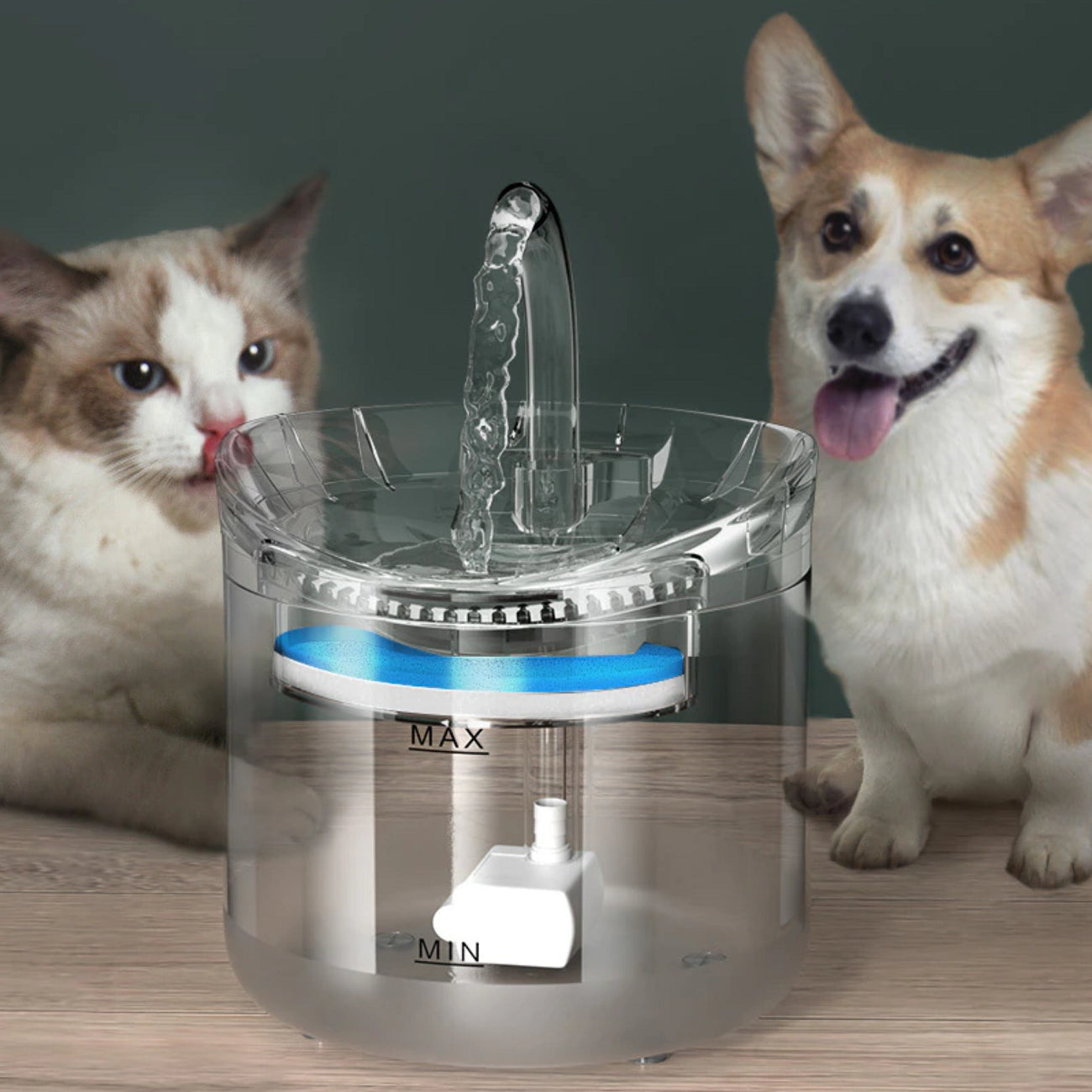Bebedero Fuente  de Agua Para Mascotas